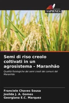 Semi di riso creolo coltivati in un agrosistema - Maranhão - Chaves Sousa, Franciele;J. A. Gomes, Josilda;E.C. Marquez, Georgiana