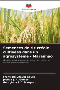 Semences de riz créole cultivées dans un agrosystème - Maranhão - Chaves Sousa, Franciele;J. A. Gomes, Josilda;E.C. Marquez, Georgiana