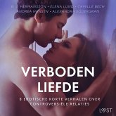 Verboden liefde - 8 Erotische korte verhalen over controversiële relaties (MP3-Download)