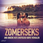 Zomerseks en andere hete erotische korte verhalen (MP3-Download)