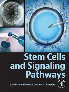 Stem Cells and Signaling Pathways (eBook, ePUB) Cover Stem Cells and Signaling Pathways (eBook, ePUB)