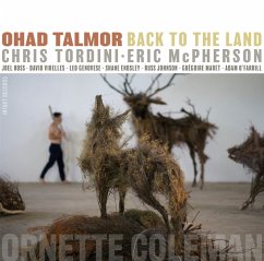 Back To The Land - Talmor,Ohad/Tordini,Chris/Mcpherson,Eric/+