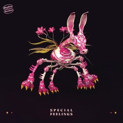 Cover Special Feelings