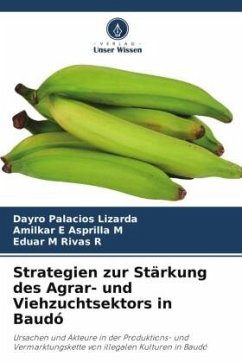 Strategien zur Stärkung des Agrar- und Viehzuchtsektors in Baudó - Palacios Lizarda, Dayro;Asprilla M, Amilkar E;Rivas R, Eduar M