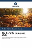 Die Gefühle in meiner Welt