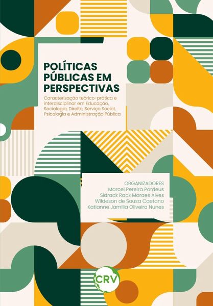 POLÍTICAS PÚBLICAS EM PERSPECTIVAS (eBook, ePUB) POLÍTICAS PÚBLICAS EM PERSPECTIVAS (eBook, ePUB)