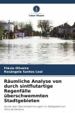 Räumliche Analyse von durch sintflutartige Regenfälle überschwemmten Stadtgebieten