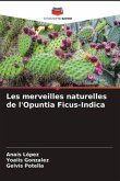 Les merveilles naturelles de l'Opuntia Ficus-Indica