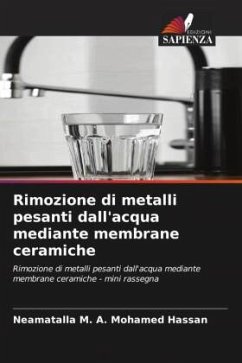 Rimozione di metalli pesanti dall'acqua mediante membrane ceramiche - M. A. Mohamed Hassan, Neamatalla