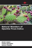 Natural Wonders of Opuntia Ficus-Indica