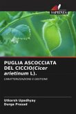 PUGLIA ASCOCCIATA DEL CICCIO(Cicer arietinum L).