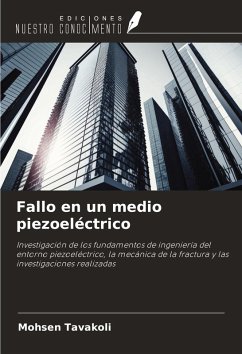 Cover Fallo en un medio piezoeléctrico