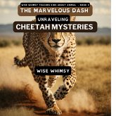The Marvelous Dash The Marvelous Dash