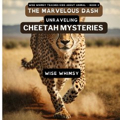 The Marvelous Dash - Whimsy, Wise