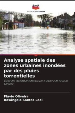 Analyse spatiale des zones urbaines inondées par des pluies torrentielles - Oliveira, Flávio;Santos Leal, Rosângela