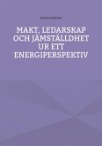 Makt, ledarskap och jämställdhet ur ett energiperspektiv (eBook, ePUB)