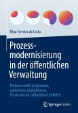 Prozessmodernisierung in der öffentlichen Verwaltung (eBook, PDF)