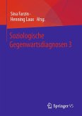 Soziologische Gegenwartsdiagnosen 3 (eBook, PDF)