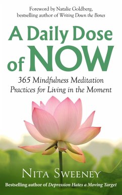 Cover A Daily Dose of Now: 365 Mindfulness Meditation Practices for Living in the Moment (eBook, ePUB)