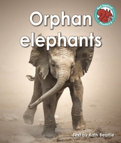 Orphan elephants - Beattie, Kath