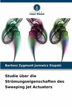 Studie über die Strömungseigenschaften des Sweeping Jet Actuators - Jurewicz Slupski, Bartosz Zygmunt