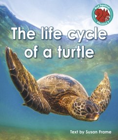 The life cycle of a turtle - Frame, Susan