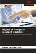Rights of irregular migrant workers - Bild 1