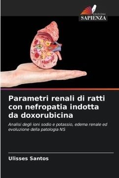 Parametri renali di ratti con nefropatia indotta da doxorubicina - Santos, Ulisses