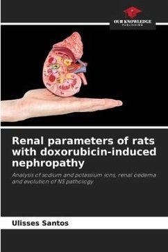 Renal parameters of rats with doxorubicin-induced nephropathy - Santos, Ulisses
