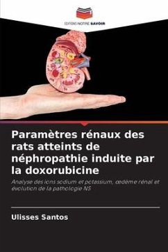 Paramètres rénaux des rats atteints de néphropathie induite par la doxorubicine - Santos, Ulisses