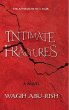 Intimate Fractures (eBook, ePUB) - Bild 1