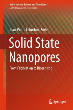 Solid State Nanopores (eBook, PDF)