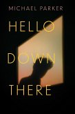 Hello Down There (eBook, ePUB)