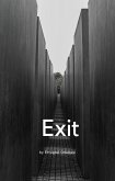 Exit (eBook, ePUB)