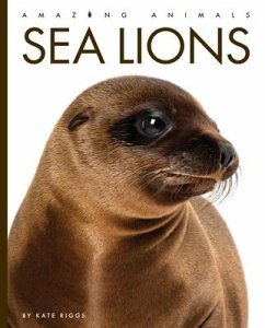 Sea Lions - Riggs, Kate