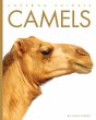Camels - Bild 1
