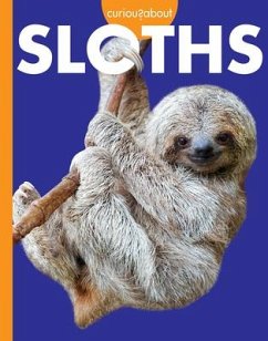 Curious about Sloths - Hansen, Amy S.