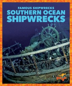 Southern Ocean Shipwrecks - Parkin, Michelle