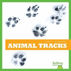 Animal Tracks - Gleisner, Jenna Lee