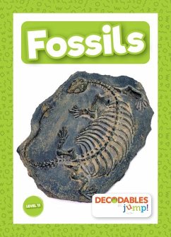 Fossils - Holmes, Kirsty