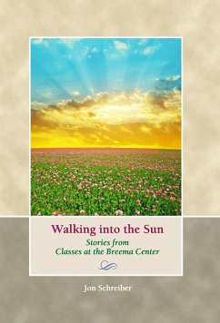 Walking into the Sun - Schreiber, Jon