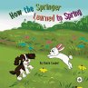 How the Springer Learned to Spring - Bild 1
