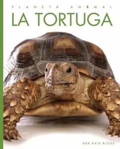 La Tortuga - Riggs, Kate