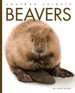 Beavers - Riggs, Kate