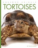 Tortoises