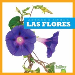 Las Flores (Flowers) - Gleisner, Jenna Lee