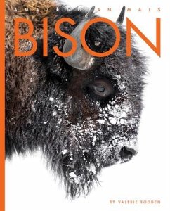 Bison - Bodden, Valerie