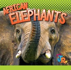 African Elephants - Storm, Marysa
