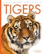 Tigers - Bild 1