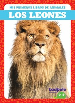 Los Leones (Lions) - Deniston, Natalie